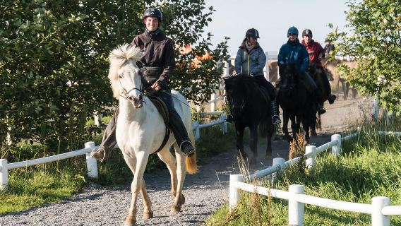 Hveragerdi: The Siggi Horse Riding Tour