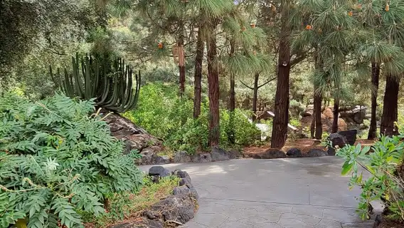 Las Palmas: Botanic Garden Tour (Option Bandama Upgrade)