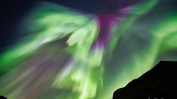 Tromso: Minivan Aurora Excursion with Pictures & Warm Suits