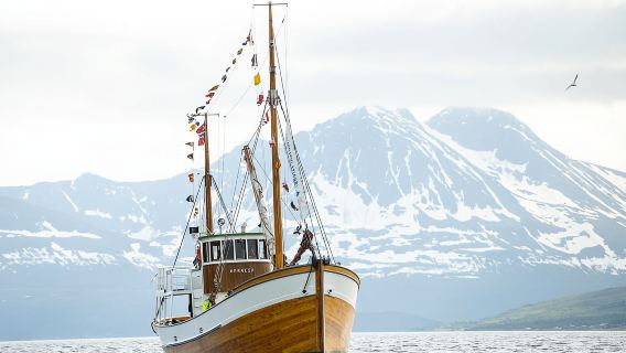 Tromsø: Fjord History Cruise with Snack and Drinks
