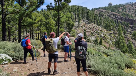 Peaks of Gran Canaria: full-day hiking with pickup and lunch