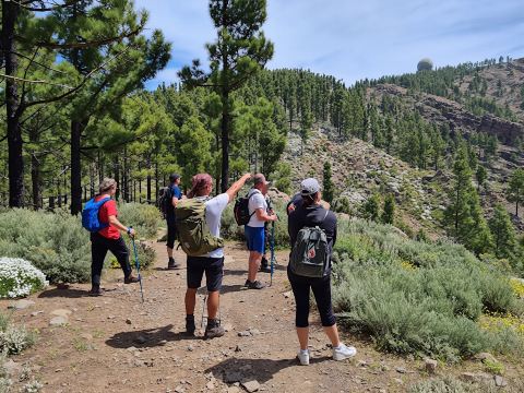 Peaks of Gran Canaria: full-day hiking with pickup and lunch