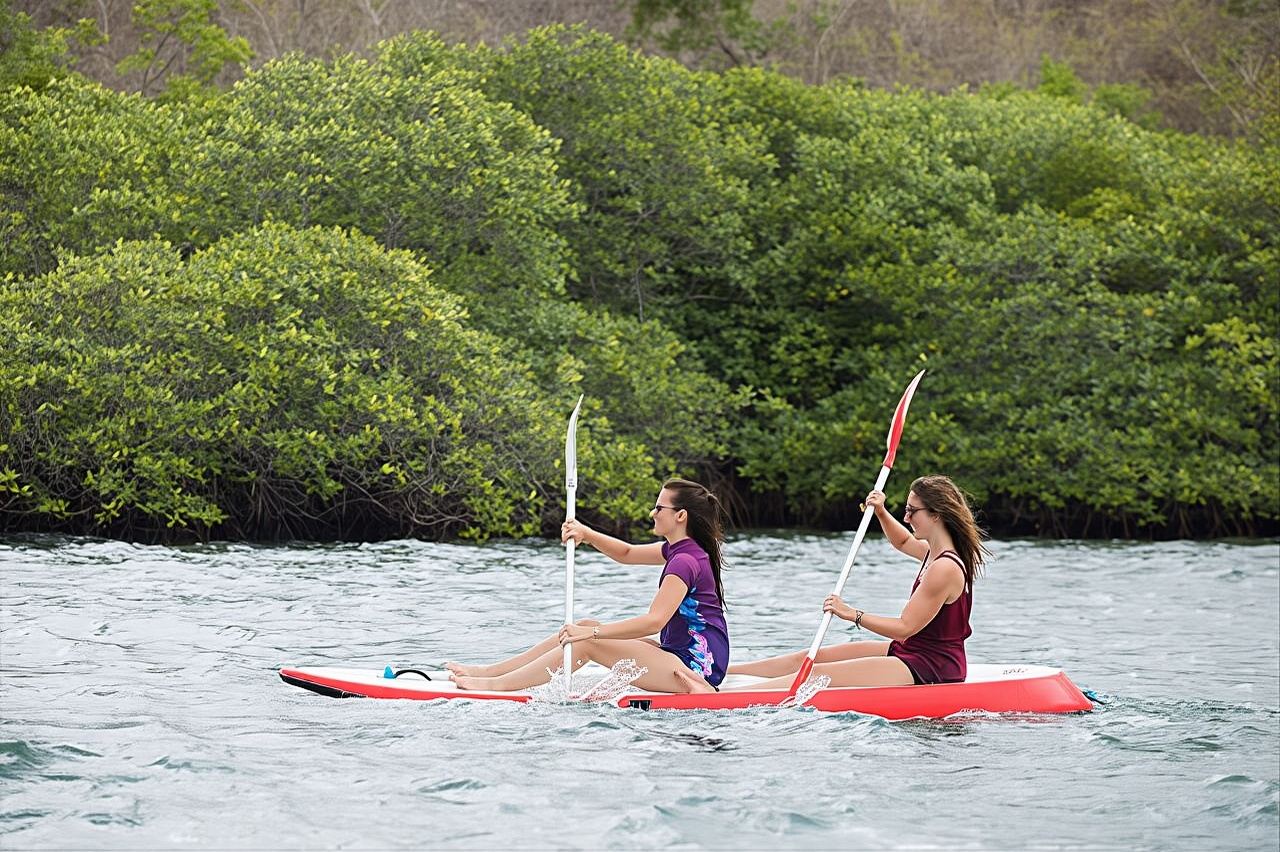 西峇裡島國家公園獨木舟探險2小時 [探索紅樹林與海岸野生生態]