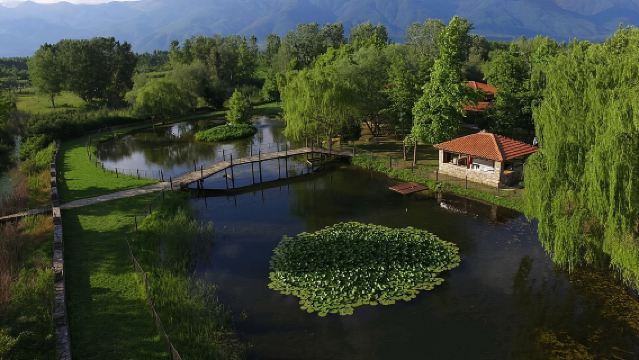 Kerkini Lake - Private Full-Day Tour