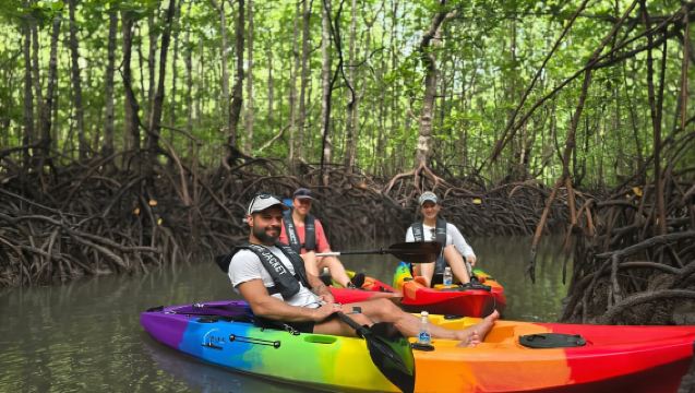 Langkawi : excursion en kayak dans la mangrove de Kilim Geoforest avec déjeuner