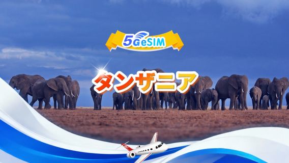 タンザニア 5G eSIM | トータルパッケージ | 1GB-30GB | 3-30日間 | 24時間チャート | QR Code