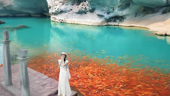 楠溪江【包車遊】麗水古街+蒼坡&芙蓉古村+永嘉書院+獅子岩