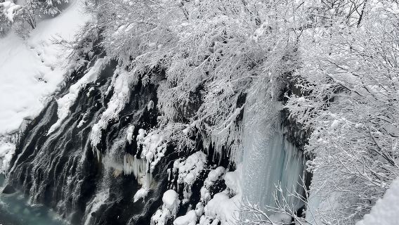 Recorrido por Hokkaido: Zoológico de Asahiyama, cascadas Biei y terraza Ningle