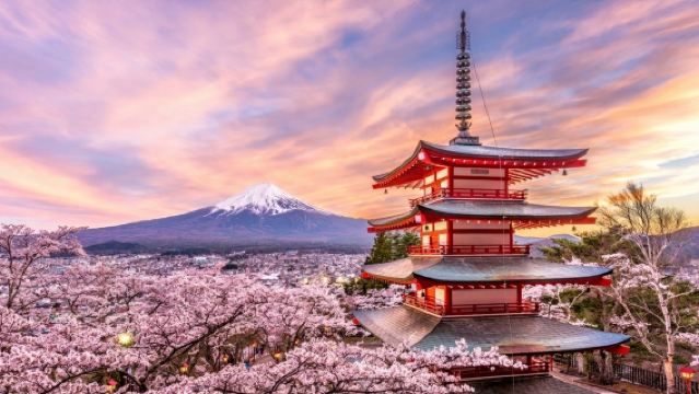 [도쿄 왕복] 후지산 일일 투어 | SNS 인생샷 성지 & 인스타 핫플 완전 정복 | 아라쿠라야마 센겐공원, 히카와 시계점, 오시노 핫카이, 가와구치코 로손, 오이시 공원