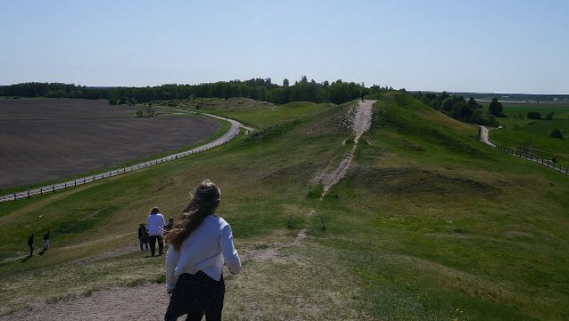 Private Full Day Viking History Tour from Stockholm Including Sigtuna and Uppsala