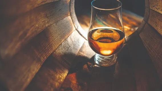 Speyside whisky + Cairngorms National Park 1-day tour|Includes winery tour and wine tasting