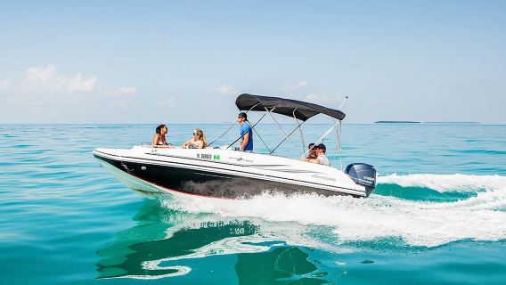 Snorkel & Millionaire Row - Private Miami Boat Tour w/ Drinks