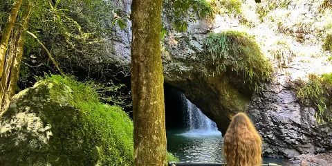 豪華春溪國家公園及坦伯林山螢火蟲洞與著名空中漫步