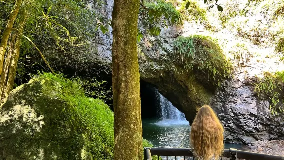 Lume di lucciola di lusso Springbrook e Mt Tamborine e famoso Skywalk