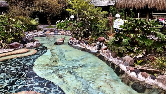 Tur Pribadi Pemandian Air Panas Papallacta & Cagar Alam Burung Guango