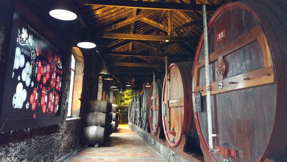 Tour dei Port Wine Lodges con 7 degustazioni di Porto (inglese)