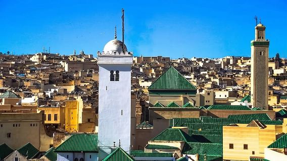 Tour di mezza giornata nella Medina di Fez con guida turistica (privata)