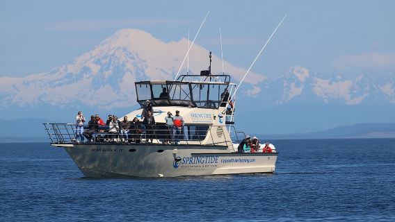 Lawatan Menonton Paus Victoria