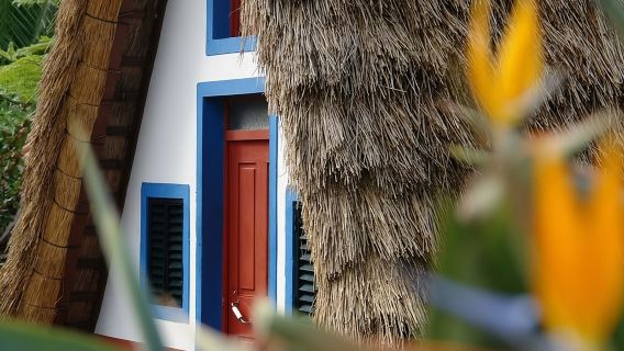 ทัวร์เกาะมาเดราตะวันออกพร้อมเดินเลวาดาและรับประทานอาหารกลางวัน