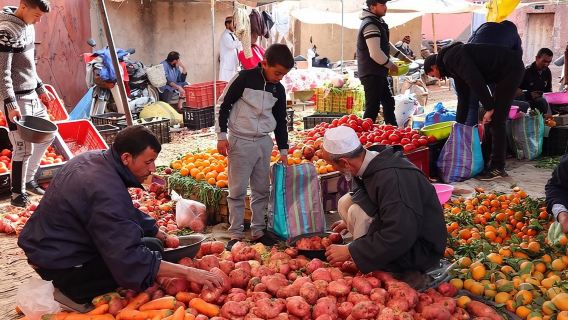 Atlas Mountains and Three Valleys & Waterfalls with Camel ride Day Trip