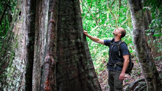 De Kuala Lumpur : excursion d'une journée aventure au parc national de Taman Negara (visite de groupe)