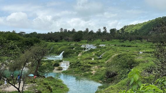 Tour privato di safari in montagna