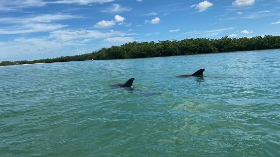 Single Kayak Rental on Big Hickory Pass