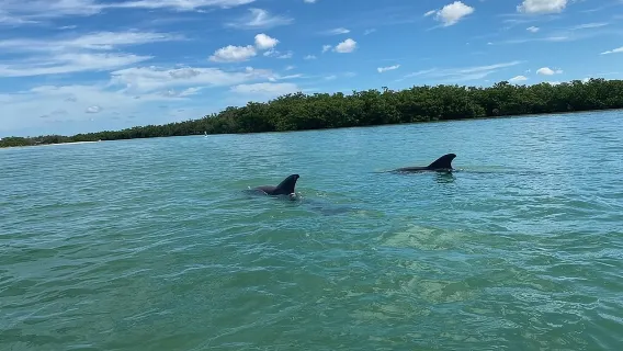 Single Kayak Rental on Big Hickory Pass