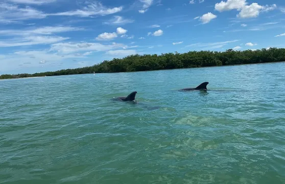 在大希科里山口租單人皮划艇