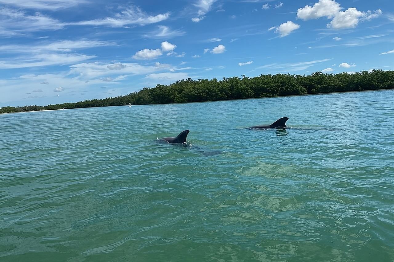 Noleggio singolo kayak sul Big Hickory Pass