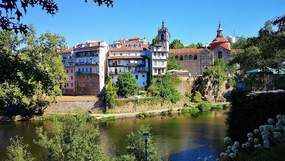 Historical guided tour of the Alto Douro Wine Region with wine tasting
