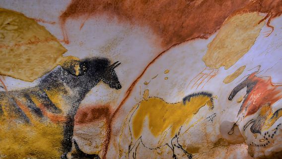 Daily shared tour of the Paleolithic art of Dordogne