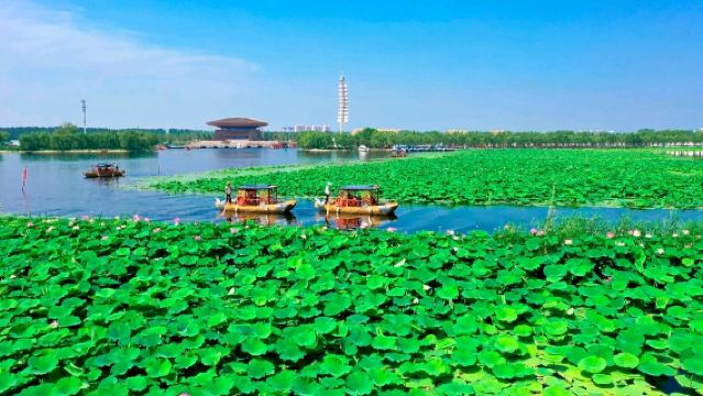  【白洋淀大觀園+嘎子印象】一日遊·石家莊出發