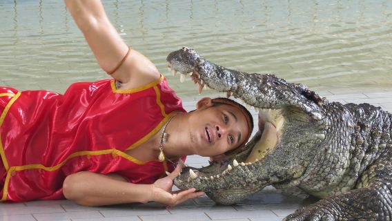 อุทยานหินล้านปีและฟาร์มจระเข้พัทยา ประเทศไทย