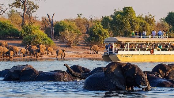 Tour di un giorno intero al Parco Nazionale Chobe e in Botswana