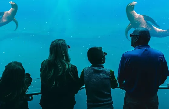 塞維爾維爾數位海洋探險