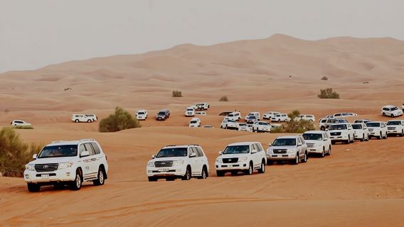 Dubai: safari di mezza giornata nel deserto, cammelli e tramonto