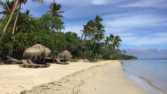Fiji Robinson Island one-day tour Village + Mud Crab Catching Nadi / Coral Coast Optional Pickup
