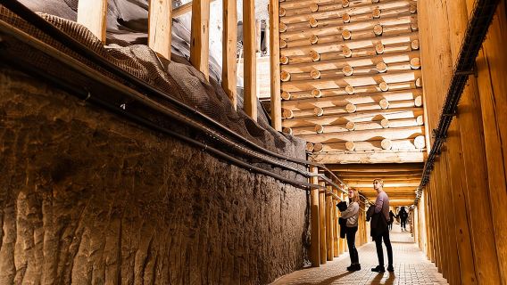 Geführte Tour durch das Salzbergwerk Wieliczka ab Krakau: Ticket & Transfer