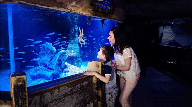 名古屋 機場快線丨名古屋中部國際機場～名古屋站丨一站直達市區便利 可步行前往名古屋城