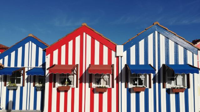 Kleine groepsreis naar Aveiro en Coimbra met Moliceiro-bootcruise