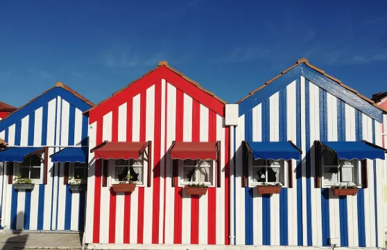 阿威羅及科英布拉小旅行團連摩里西羅郵輪之旅