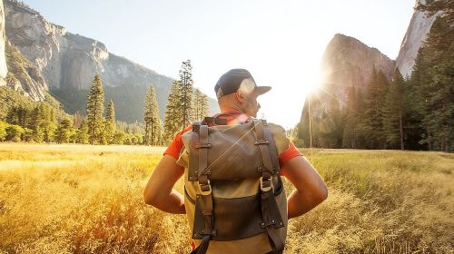 Yosemite Day Tour from San Francisco Day Tours
