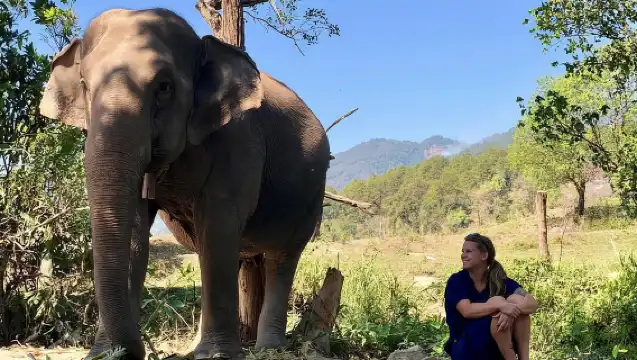 3-in-1: Doi Inthanon Tour, Elephant Sanctuary, and Trekking Trail