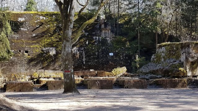 ทัวร์รังหมาป่าและเทรบลินกาใน 1 วันจากวอร์ซอ