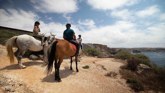Discover Carrapateira horse riding tour