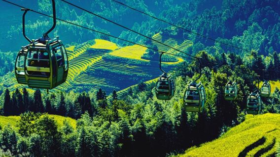 Guilin + Longsheng + Longji Rice Terraces Scenic Area-Jinkeng Rice Terraces 1-day tour (Business car small group + optional English/French guide)