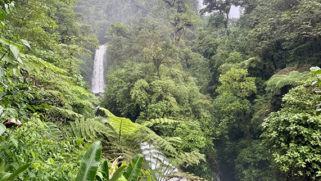 Full Day Poas Volcano, La Paz Waterfall Gardens and Coffee Plantation Experience