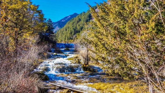 包車遊【九寨-松潘站/黃九站「轎車 商務車」任意時間出發】