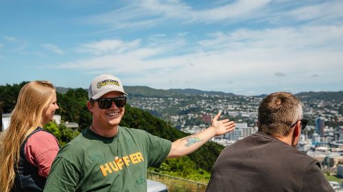 Discover Wellington 3 hour City Tour Day Tours
